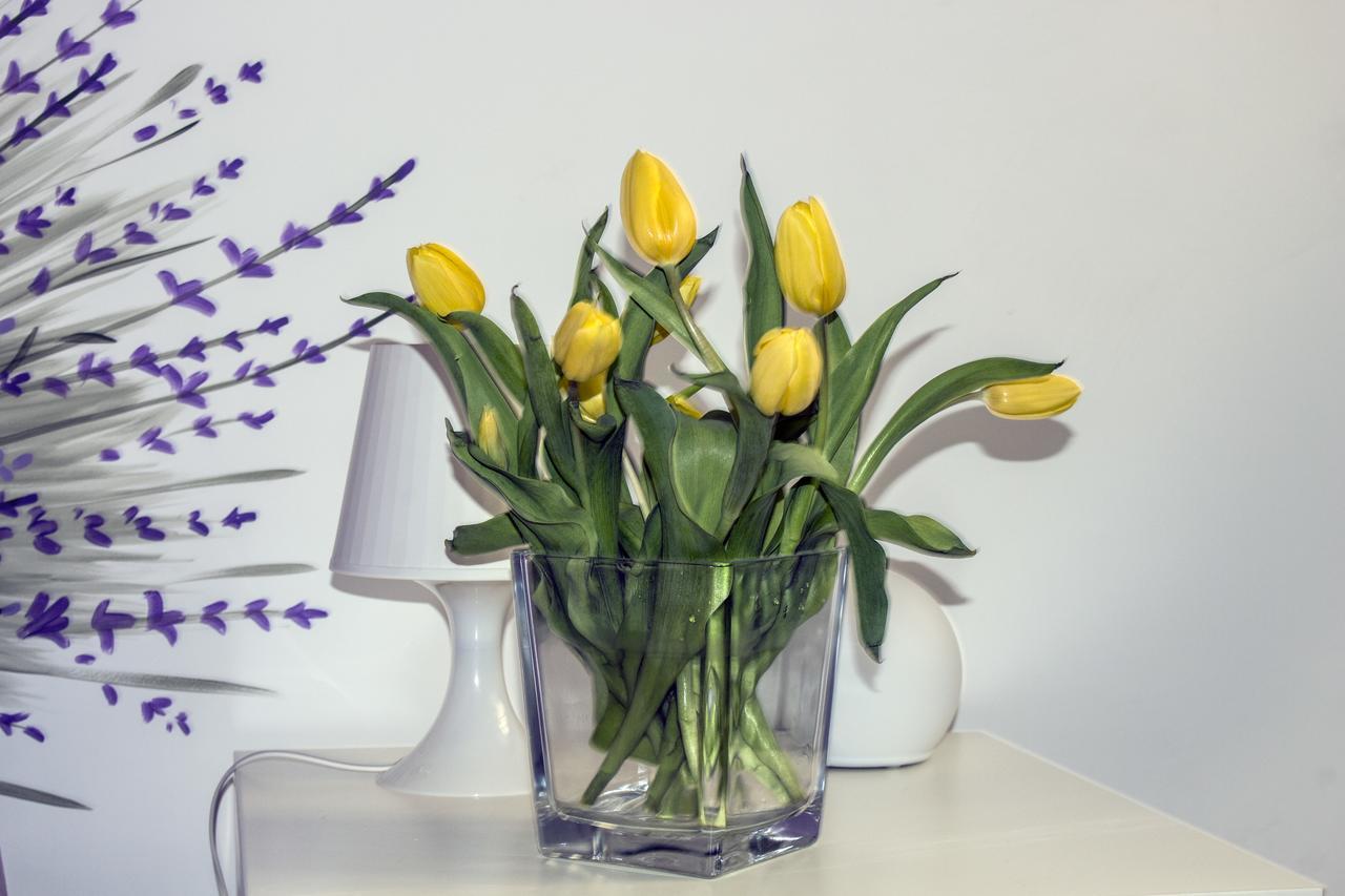 Orvieto Aroma Rooms 2 Екстериор снимка