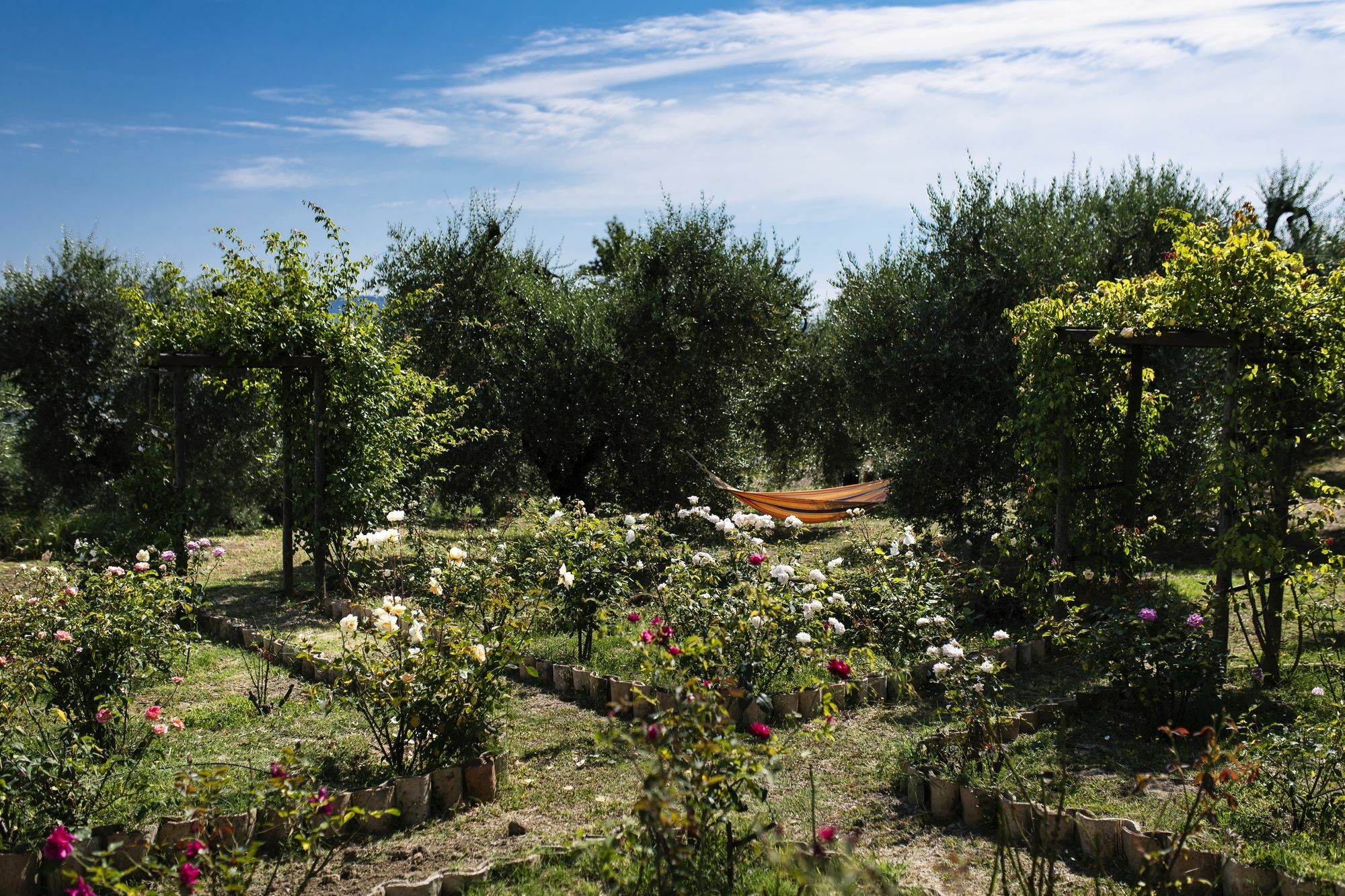 Orvieto Aroma Rooms 2 Екстериор снимка